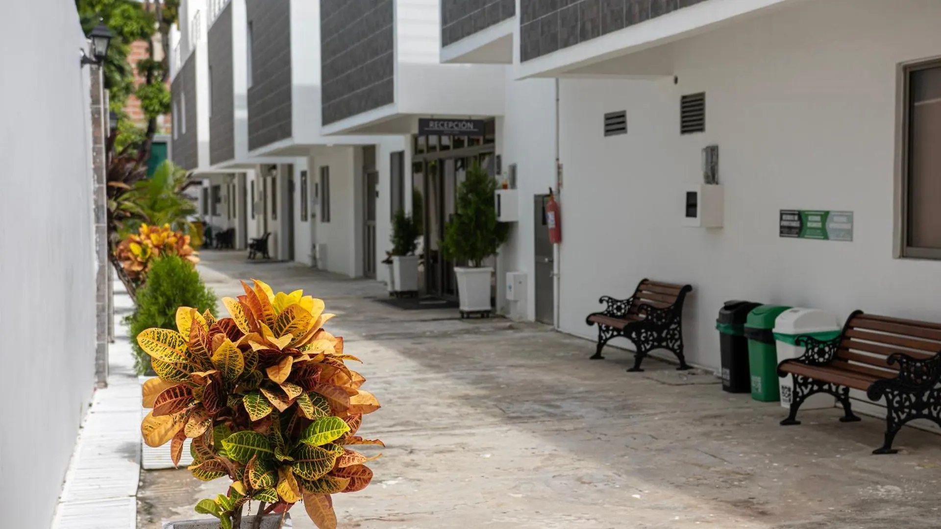 Hotel El Marques De Manga Cartagena Colombia